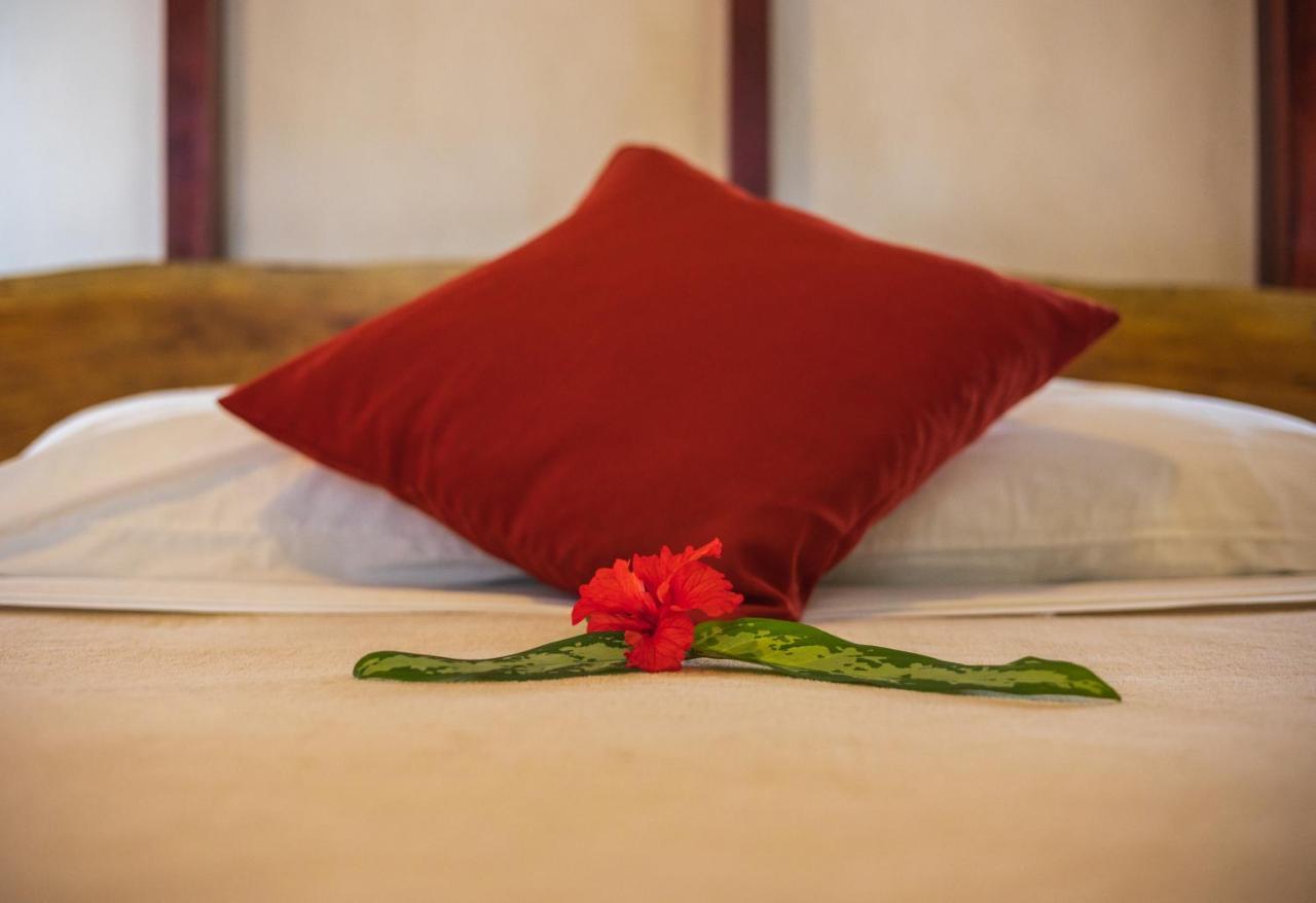 Namuwoki Lodge Puerto Viejo de Talamanca Εξωτερικό φωτογραφία