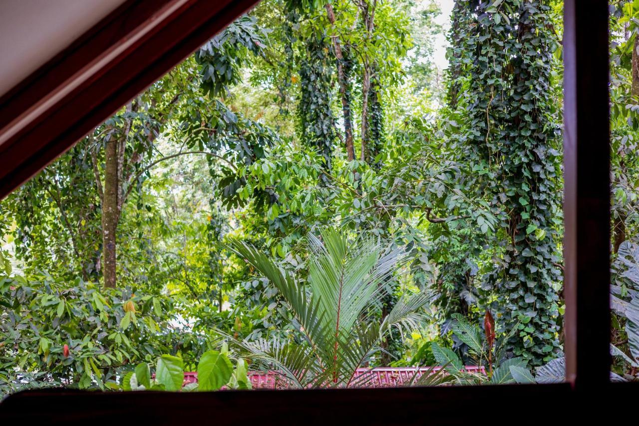 Namuwoki Lodge Puerto Viejo de Talamanca Εξωτερικό φωτογραφία