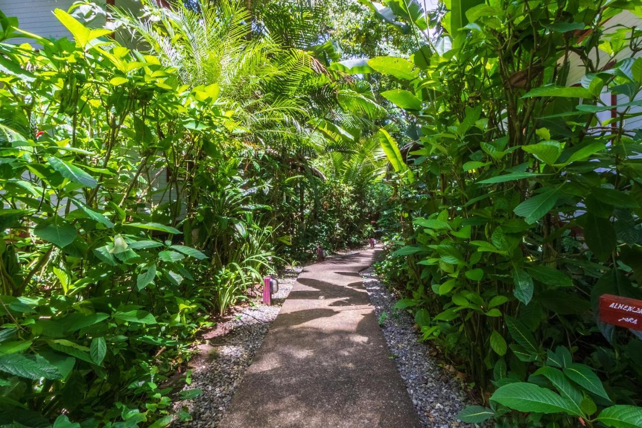Namuwoki Lodge Puerto Viejo de Talamanca Εξωτερικό φωτογραφία
